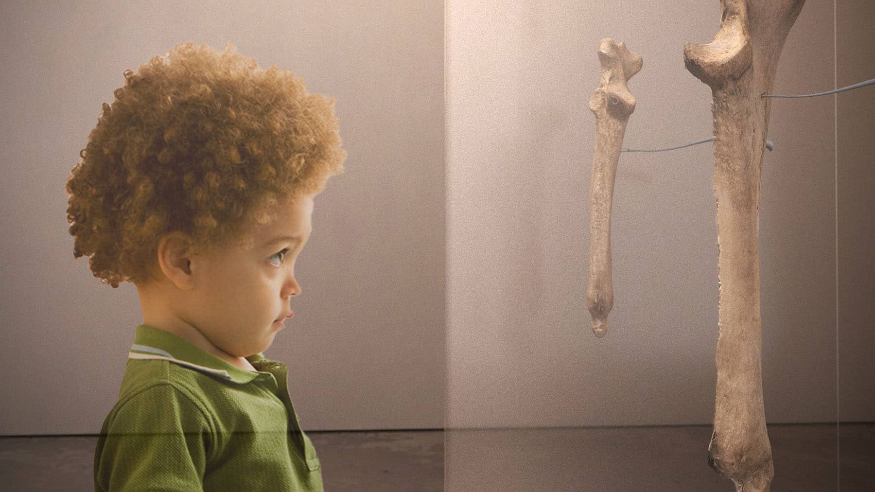 foto bimbo che osserva osso 